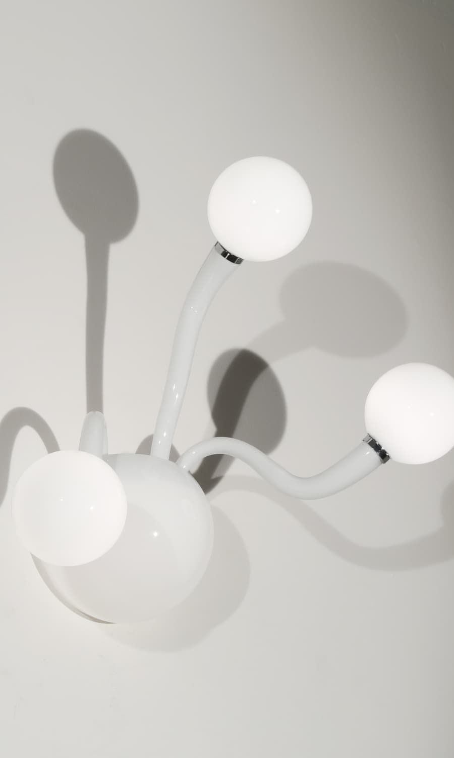 MEDUSA Gallery 2